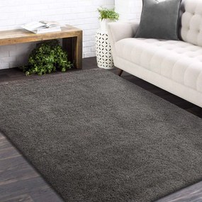 Стилен тъмносив килим Ширина: 120 см | Дължина: 170 см