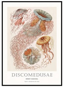 Картина 30x40 cm Tafel – Malerifabrikken