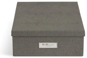 Картонени органайзери за докумнети в комплект от 5 бр. Holger – Bigso Box of Sweden