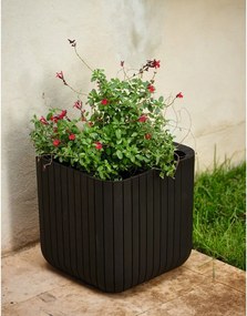 Пластмасова саксия за цветя Cube – Keter