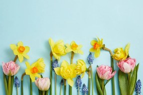 Фототапет – Пролетна цветна композиция