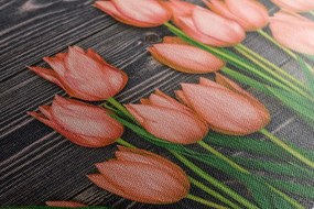 Картина на платно – Омагьосващи оранжеви лалета на дървена основа