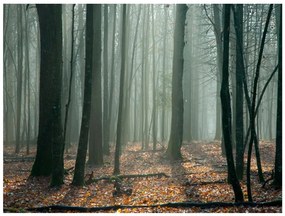 тапет - Вещерска гора 400x309