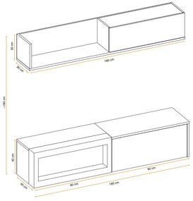 Холна секция Reymond-Anthraki