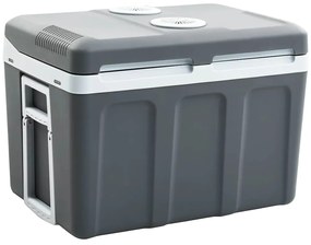 51199 vidaXL Преносима термоелектрическа хладилна кутия 40 л 12 V 230 V E