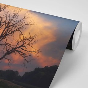 Самозалепващ фототапет – Великолепно дърво на ливада
