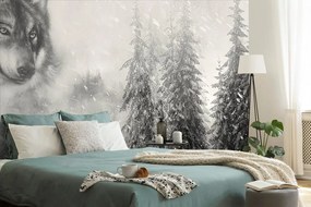 Самозалепващ тапет – Черно-бял вълк в заснежен пейзаж