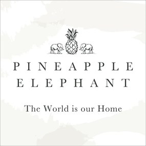 Синя завеса 140x229 cm Zanzibar Stripe – Pineapple Elephant