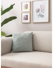 Калъфки за възглавници от рипсено кадифе в комплект от 2 бр. 43x43 cm – Mioli Decor