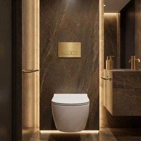 Комплект Структура за Вграждане за WC Slim 024N с Бутон HD Gold
