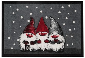 Изтривалка за врата Cristmas Dwarfes, 40 x 60 cm Christmas Dwarfes - Hanse Home