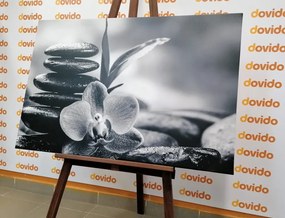 Картина на платно – Медитативна Зен композиция в черно-бяло