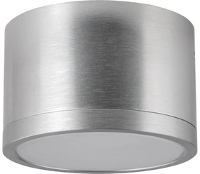 LED Плафониера MIRELLA 1xGX53/6W/230V хром