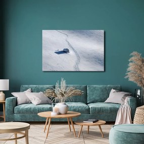 Картина на платно – Заснежен пейзаж с къщичка