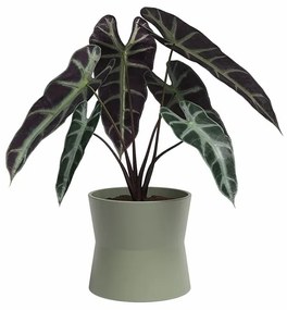 Керамична саксия за цветя ø 14 cm Diana – Artevasi