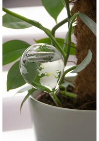 Стъклена топка за вода 175 ml Globe - Esschert Design