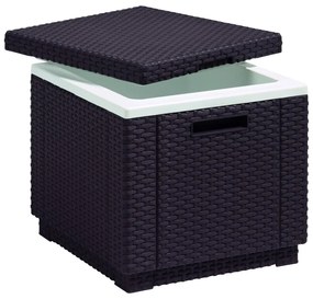 Градинска маса с тавичка за лед 42x42 cm – Keter