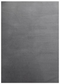 Сив килим подходящ за пране 60x110 cm Sky – Ayyildiz Carpets