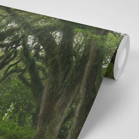 Самозалепващ фототапет – Пътечка обгърната от зеленина