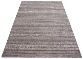 Бежов килим 140x200 cm Plus – Ayyildiz Carpets