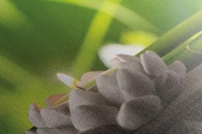 Картина на платно – Хармоничен Буда