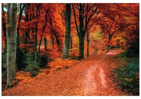 Фототапет – Гора през есента