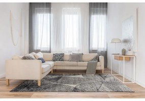 Сив килим 160x230 cm Lush – FD