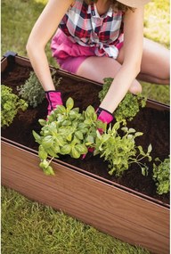 Повдигната леха Maple – Keter