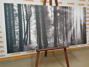 Картина на платно – Гора, окъпана в слънце в черно-бял вариант