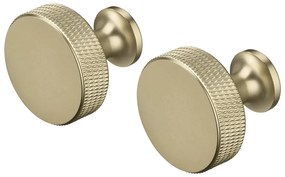 Стенни метални куки в комплект от 2 бр. в месингов цвят Rof – Blomus