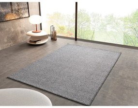 Светлосив килим 200x290 cm Petra Liso – Universal