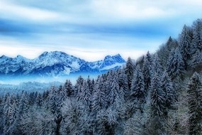 Самозалепващ фототапет – Замръзнали планини