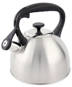 Свирещ чайник Golden Sea GS-04156D, 2,1литра, неръждаема стомана, термо дръжка, мат