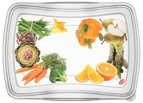 Комплект от 3 класически кутии за храна, 1 л - Snips