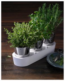 Комплект от 3 саксии за билки от неръждаема стомана Gourmet - WMF