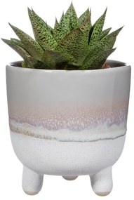 Сива саксия Bohemian Home , ø 11,7 cm Mojave - Sass &amp; Belle