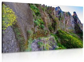 Картина на платно – Тясна туристическа пътека
