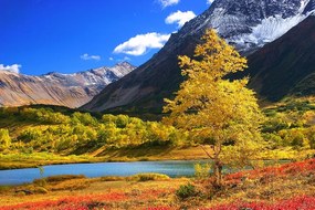 Фототапет – Красива природа в Камчатка
