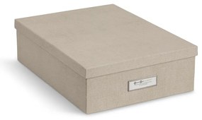 Картонени органайзери за докумнети в комплект от 5 бр. Holger – Bigso Box of Sweden