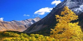 Картина на платно – Прекрасна природа на Камчатка в Русия