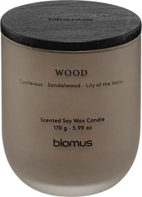 Ароматна свещ от соев восък време на горене 35 час Tuoksu Wood – Blomus