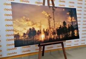 Картина на платно – Привечер в гората