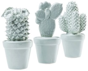 Декорация Cactus Light Blue Assorted