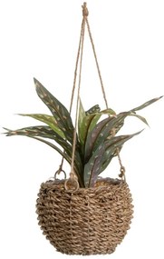 Изкуствено растение (височина 25 cm) – Casa Selección