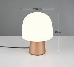 Бяла и бронзова настолна лампа със стъклен абажур (височина 27 cm) Steen – Trio