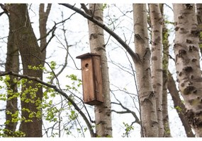 Дървена къщичка за птици – Esschert Design