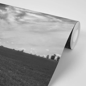 Фототапет – Черно-бял магичен пейзаж