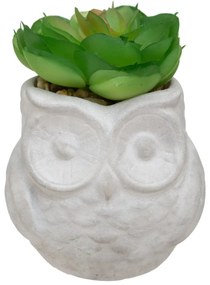 Изкуствено растение atmosphera Succulent, 8 cm, Различни видове