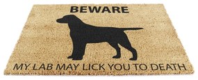 Изтривалка от кокосови влакна 40x60 cm Labrador – Artsy Doormats