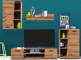 Секция Вектор